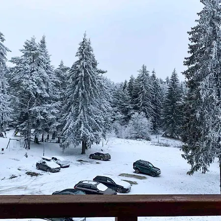 And - Semiramida Gardens Apartament *