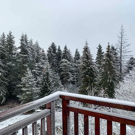 And - Semiramida Gardens