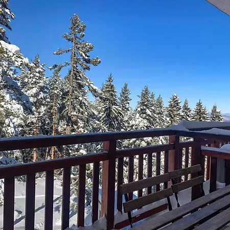 And - Semiramida Gardens Apartmán Borovec