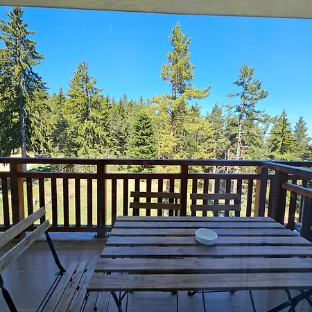 And - Semiramida Gardens Borowec