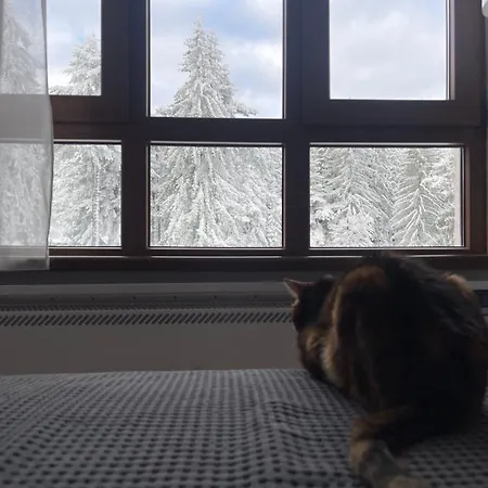 And - Semiramida Gardens