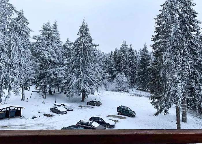 And - Semiramida Gardens Daire *