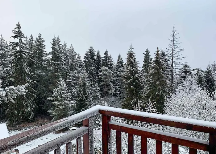 And - Semiramida Gardens