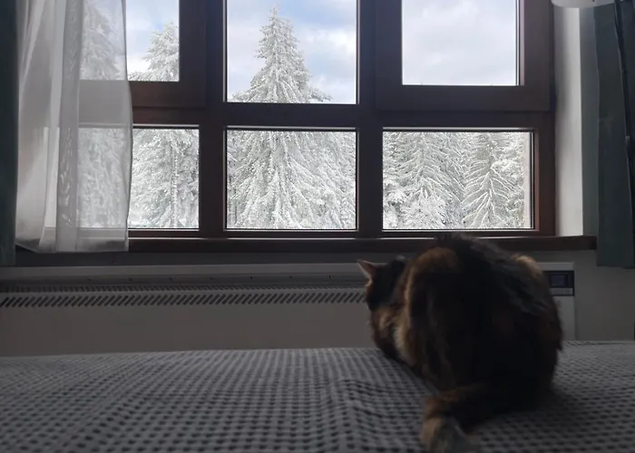 And - Semiramida Gardens